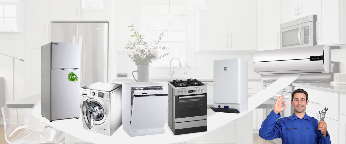 Güdül Grundig Servisi